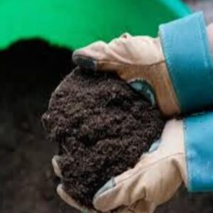 Diablo Mulch Compost