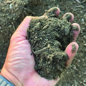 Organic Top Soil