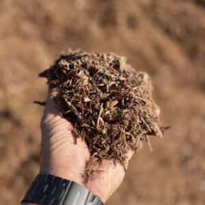 Premium Mini Natural