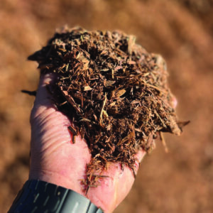 Premium Mini Natural