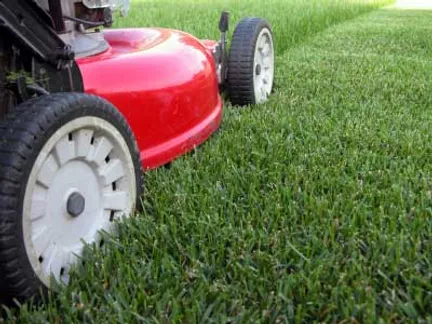 how to mow your lawn