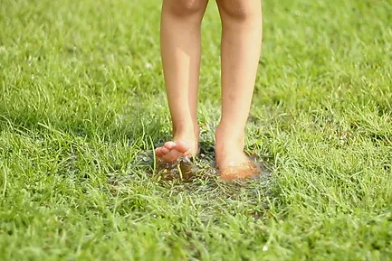 wet feet