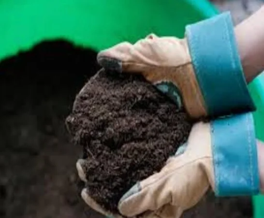 Diablo Mulch Compost