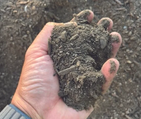 Organic Top Soil
