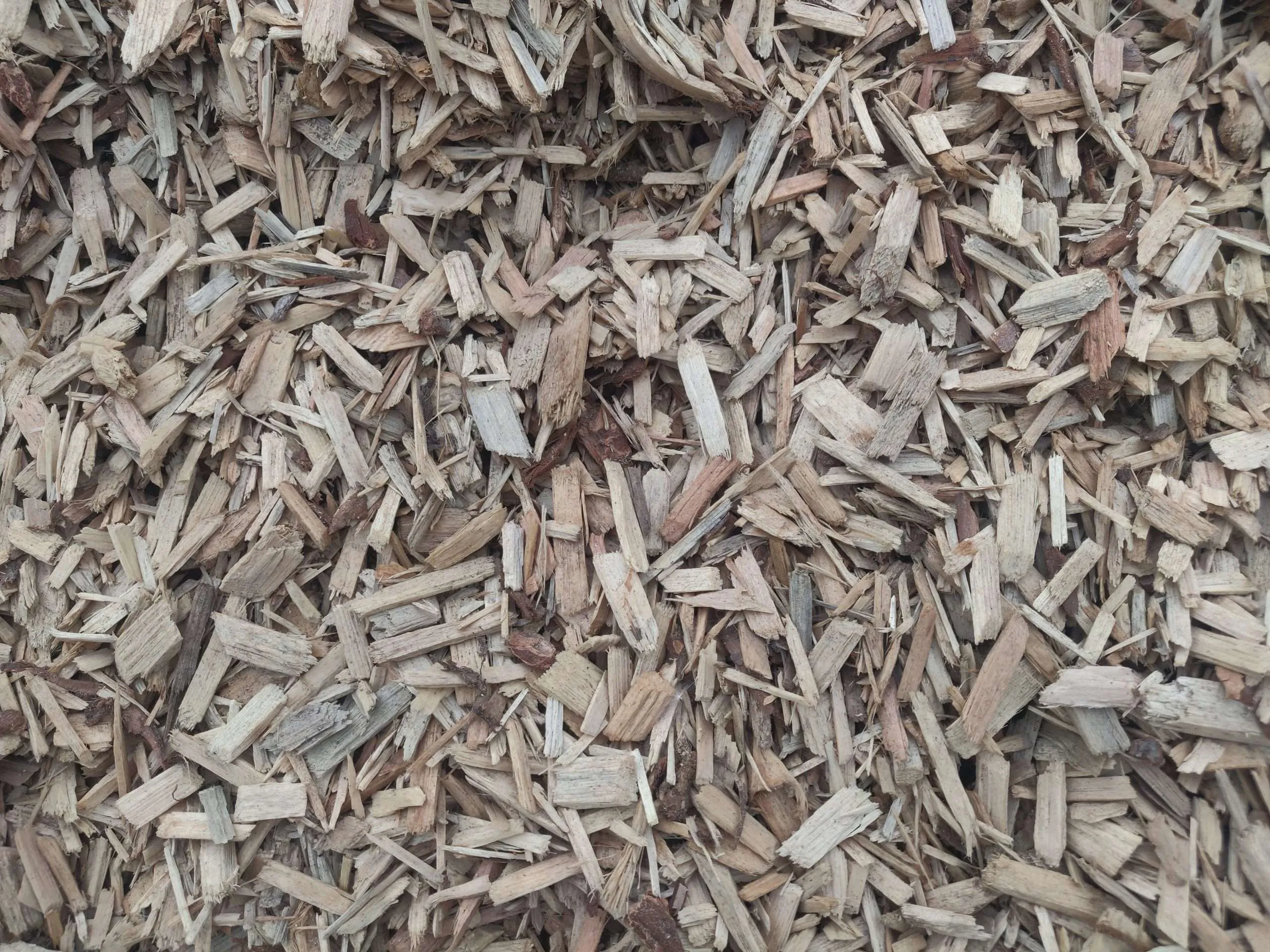 Play Ground chips